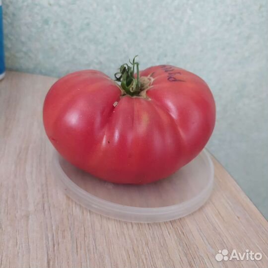 Коллекционные семена томата