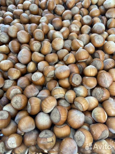 Фундук орех