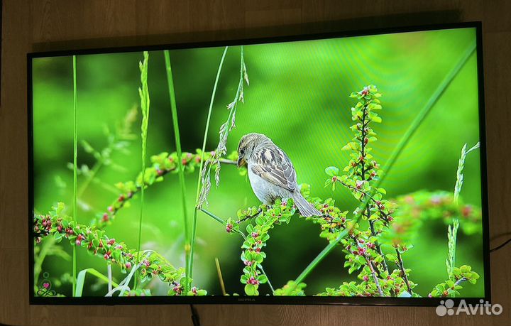 Телевизор supra 55