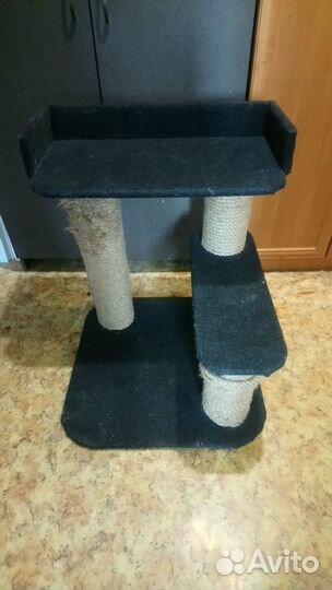 Когтедралка, кошачий дом