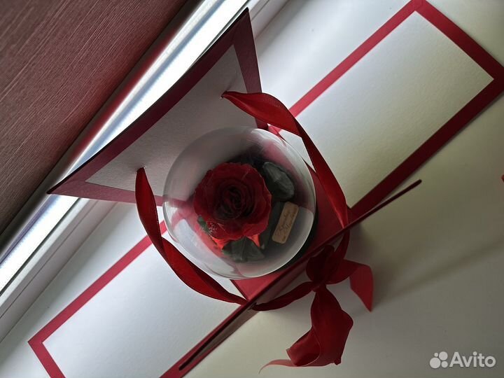 Живая роза в колбе