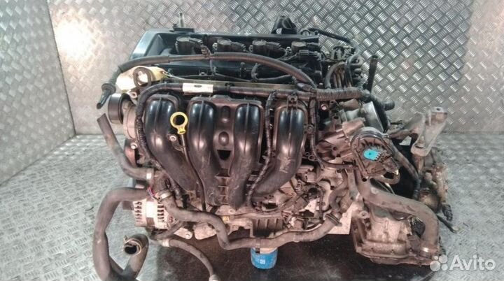 Двигатель Ford Focus 2004-2009 2.0л бензин