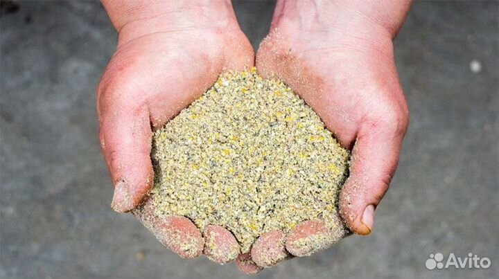 Комбикорм для перепелов