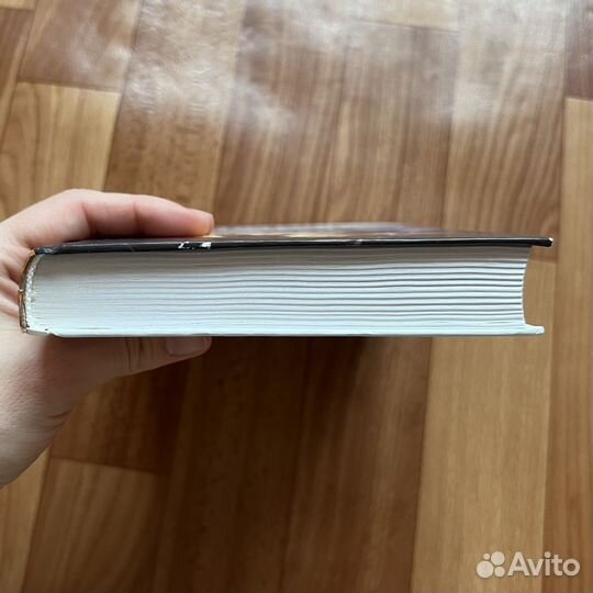 Таня Гроттер и птица титанов