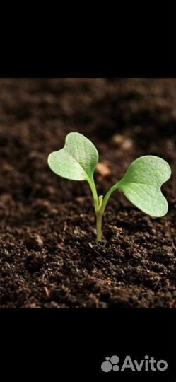 Плодородный грунт