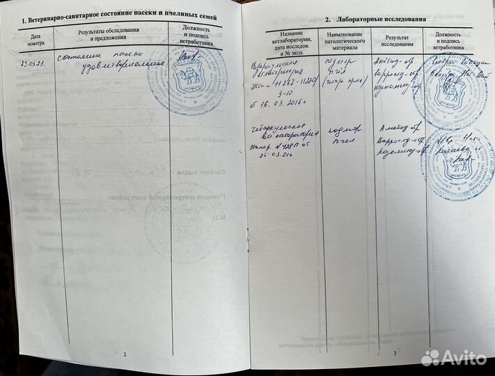 Мёд полностью натуральный со своей пасеки