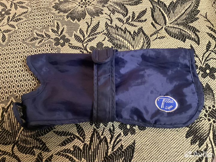 Одежда для маленького кобеля