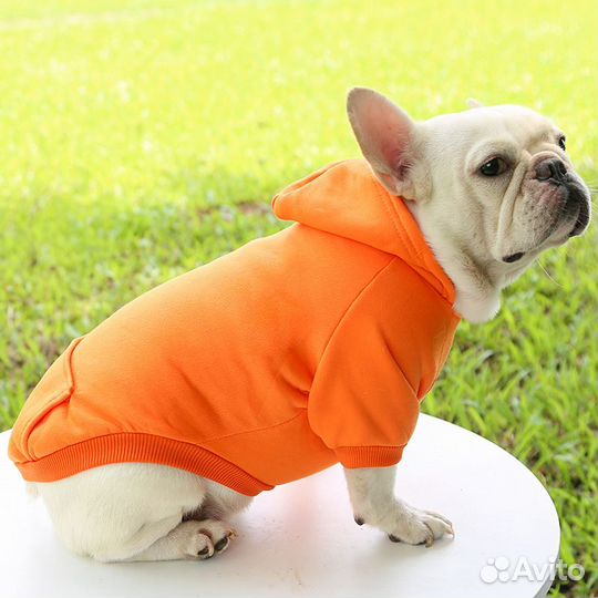 Толстовка (худи) с капюшоном для собак и кошек