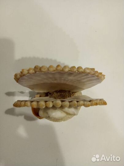 Салфетница из ракушек