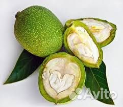 Бальзам из грецких орехов