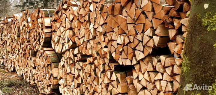 Дрова наколотые