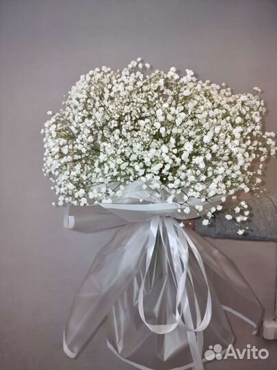 Цветы,гипсофила