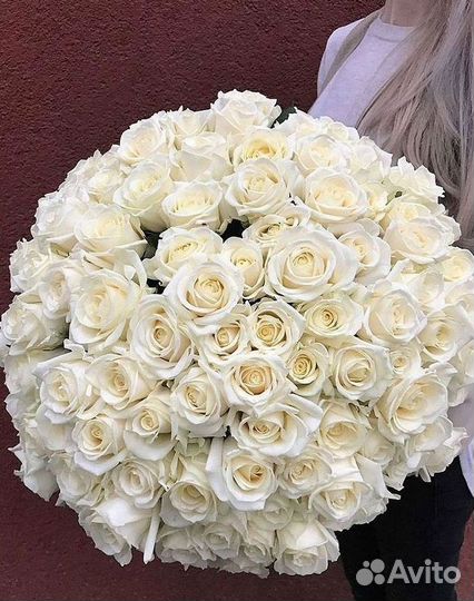 Розы Букеты Цветы Розы 31 101 151 201 Доставка