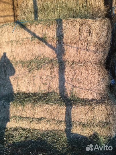 Корм для сх животных (сено)
