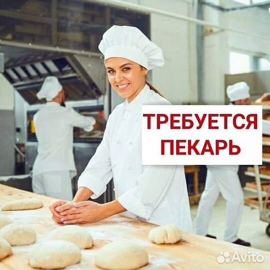 Пекарь г Нея