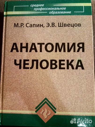 М.Р.Сапин, Э.В.Швецов Анатомия человека