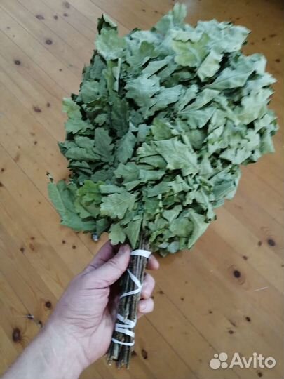 Дубовый веник Кавказский