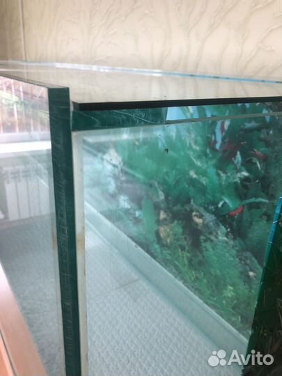 Продам аквариум