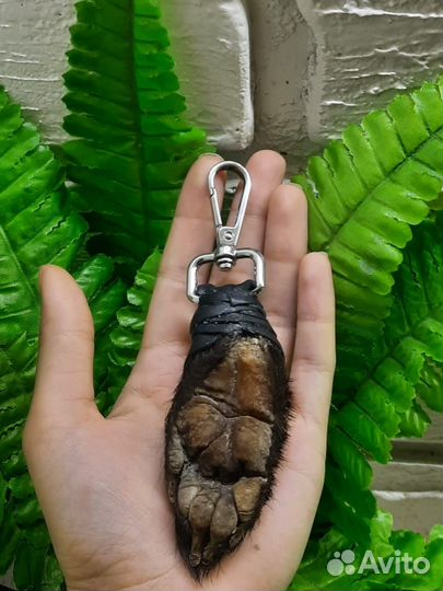 Оберег лапа барсука