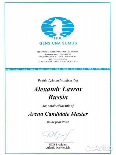 Шахматы для детей репетитор тренер