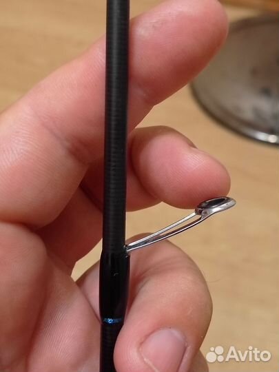 Фаворит блюбёрд