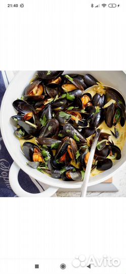 Мидии в раковине