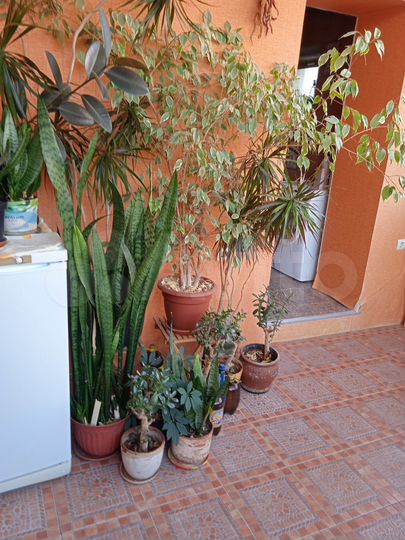 Дом 165 м² на участке 5 сот.