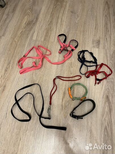 Ванночка,сенник,домик для крыс,поводки,ошейники