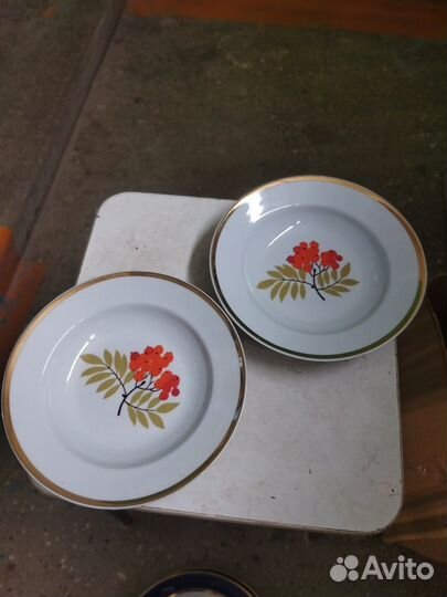 Тарелки столовые диам. 22-26 см