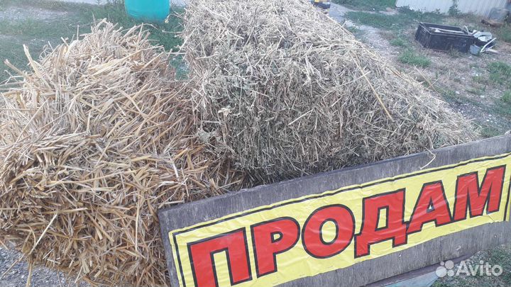 Сено. люцерна.солома. в тюках.с