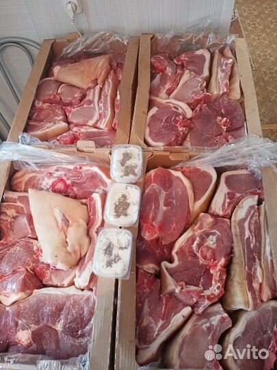 Свежая свинина
