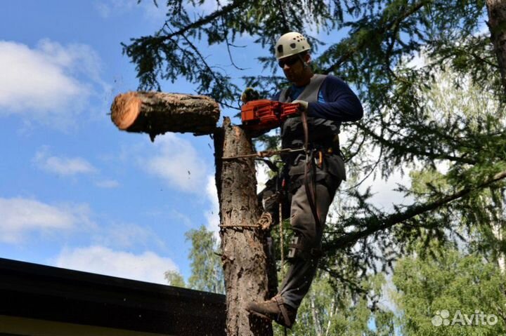 Аренда автовышки