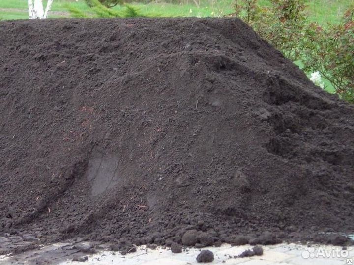 Чернозем рязанский