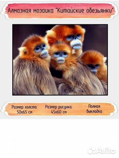 Алмазная мозаика, без подрамника, 40*50, 50*65