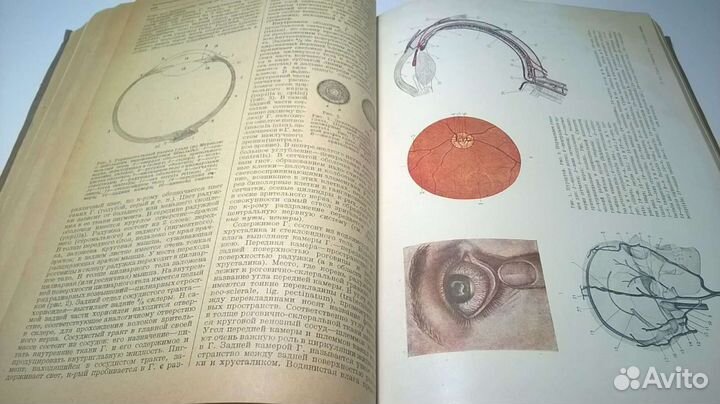 Медицинский словарь справочник 1937