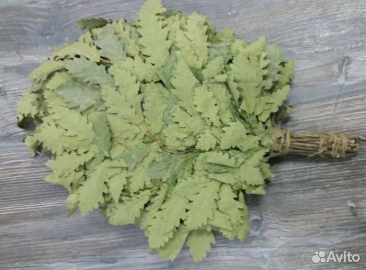 Веники дубовые и березовые