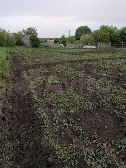 Участок 15 сот. (ИЖС)