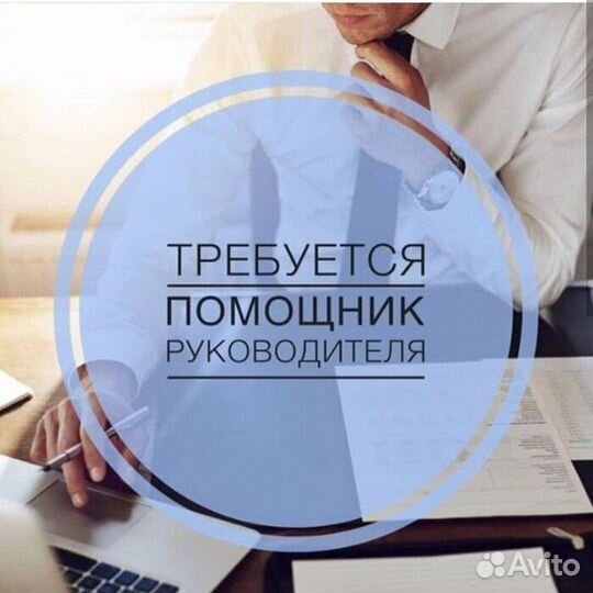 Помощник руководителя