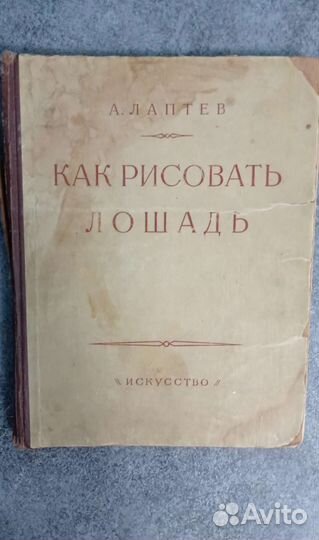 Книга Как рисовать лошадь