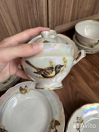 Сервиз столовый 6 персон Коростень СССР