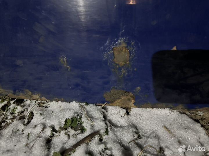 Дверь задняя правая Volkswagen Transporter T5