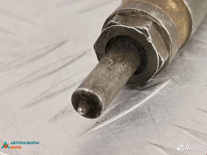 Форсунка Renault Scenic 2 2005 8200389369