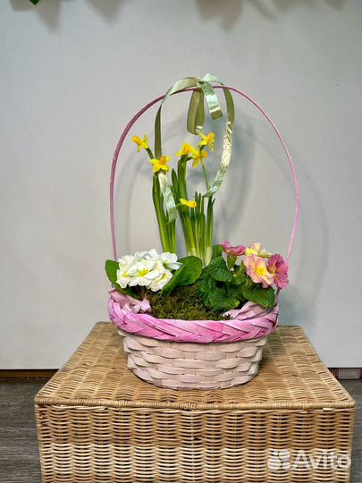 Цветы на 8 марта нарциссы с примулой