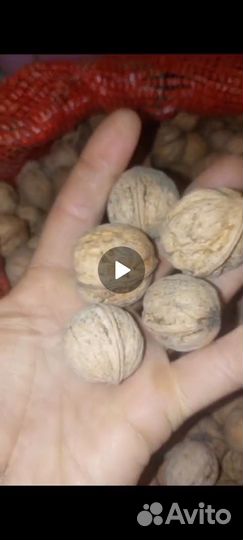 Грецкий орех в скорлупе 2023