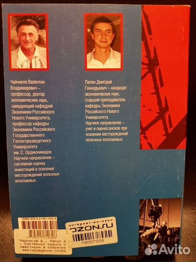 Системная оценка инвестиций в освоение месторожден