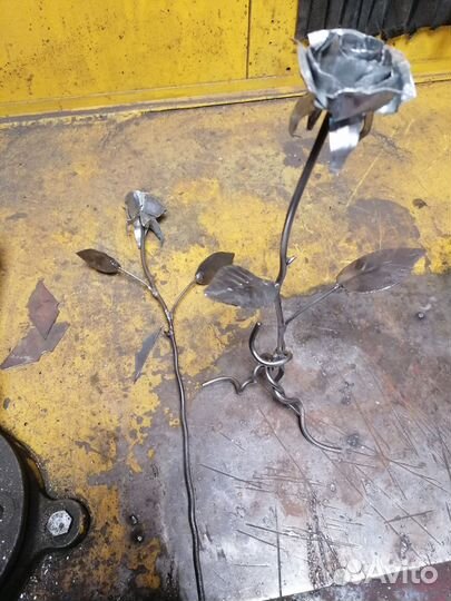 Железная роза