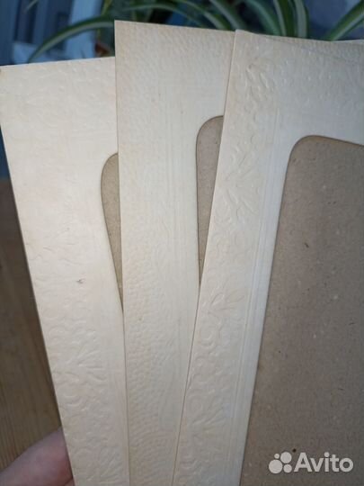 Паспарту СССР из картона