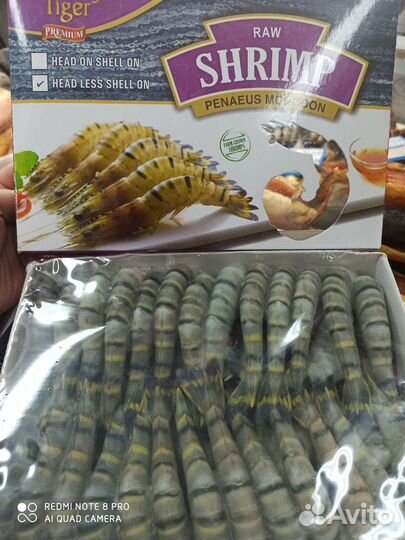 Тигровые креветки