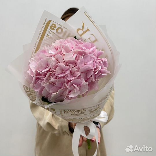 Гортензия / букет комплимент / Доставка цветов