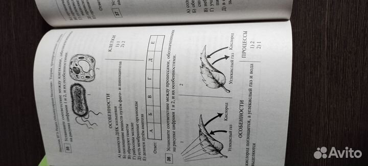 ЕГЭ биология молекулярная тесты и теория